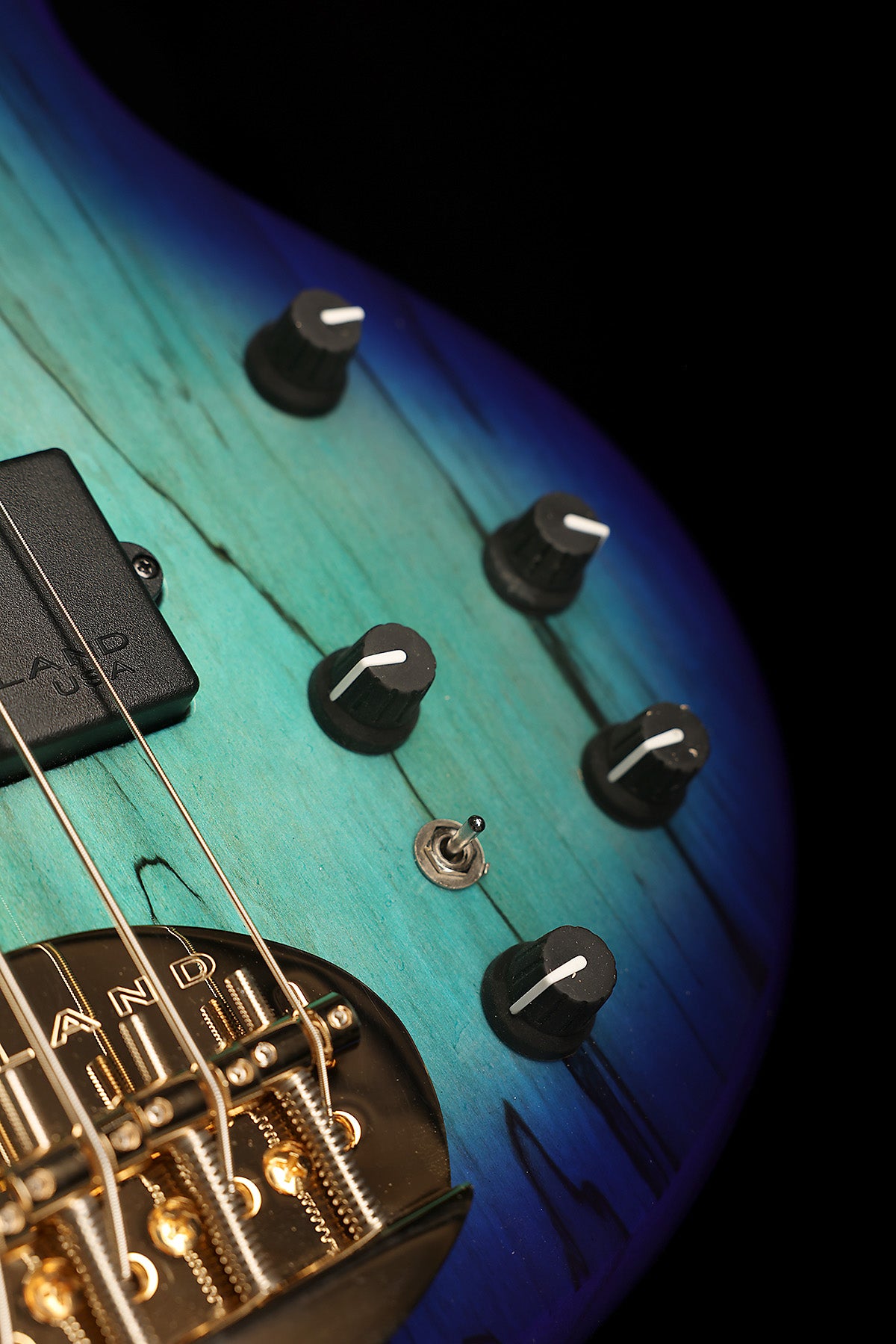 Lakland Skyline 55-02 Deluxe Spalted Ocean Burst