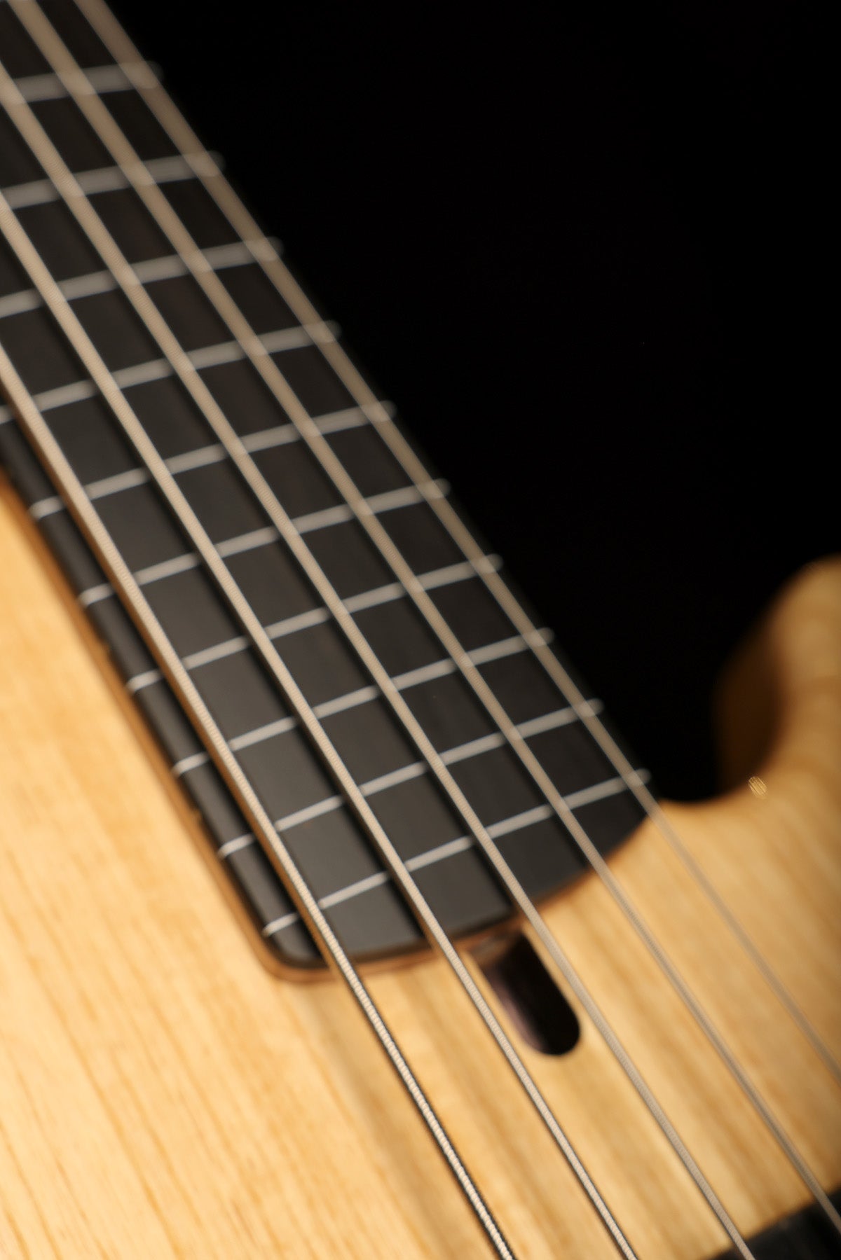 Lakland Skyline 55-01 Ebony Fretless