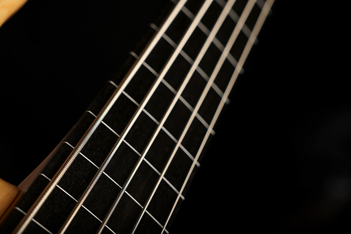 Lakland Skyline 55-01 Ebony Fretless