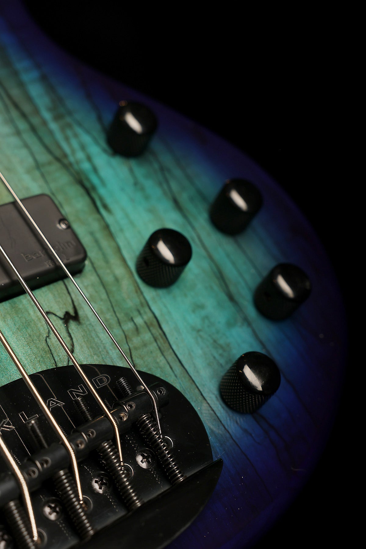 Lakland Skyline 55-01 Deluxe Spalted Ocean Burst, Black Hardware