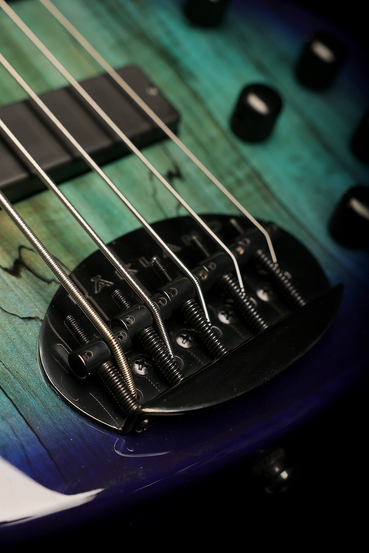 Lakland Skyline 55-01 Deluxe Spalted Ocean Burst, Black Hardware