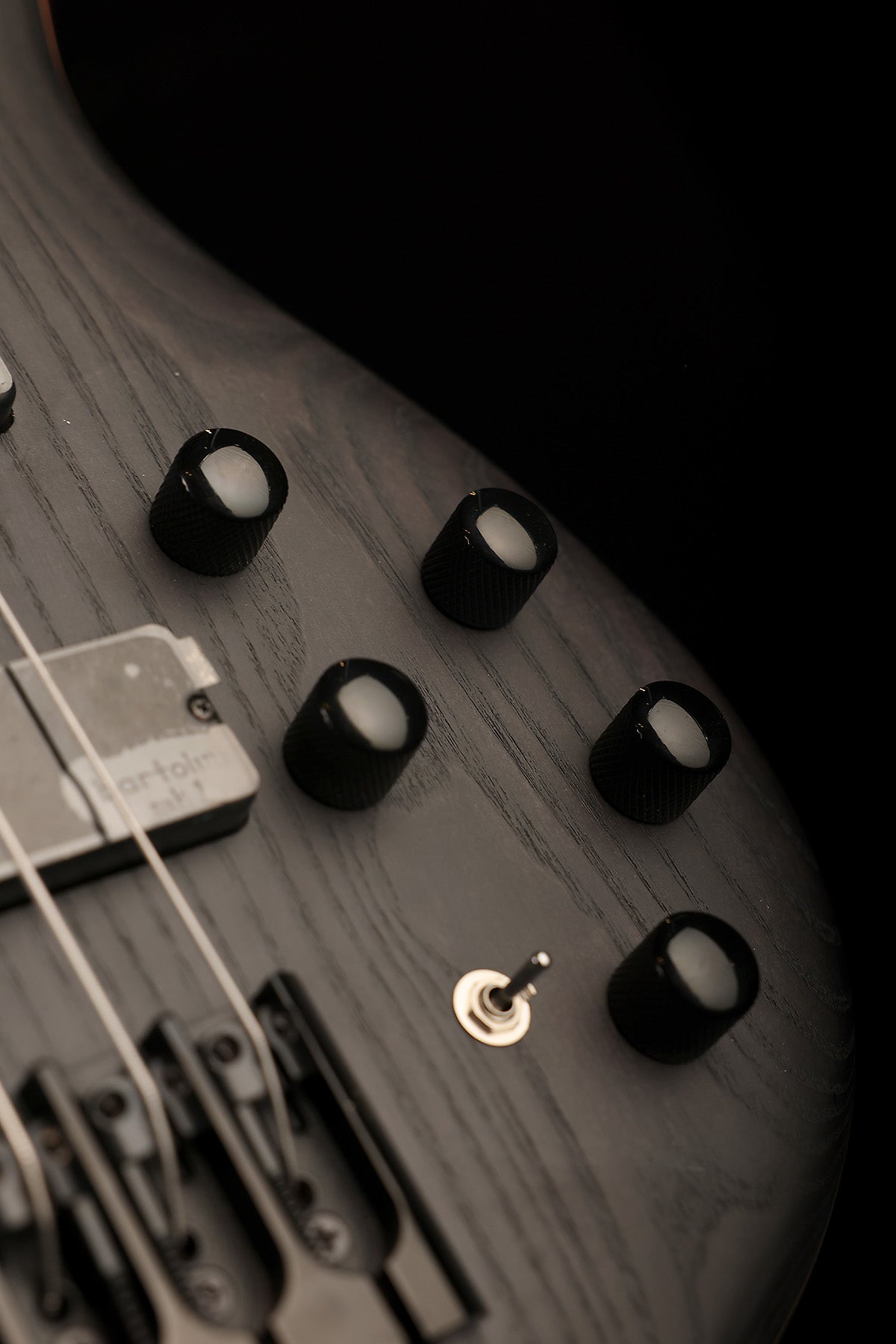Cort Artisan B4 Element Fretless