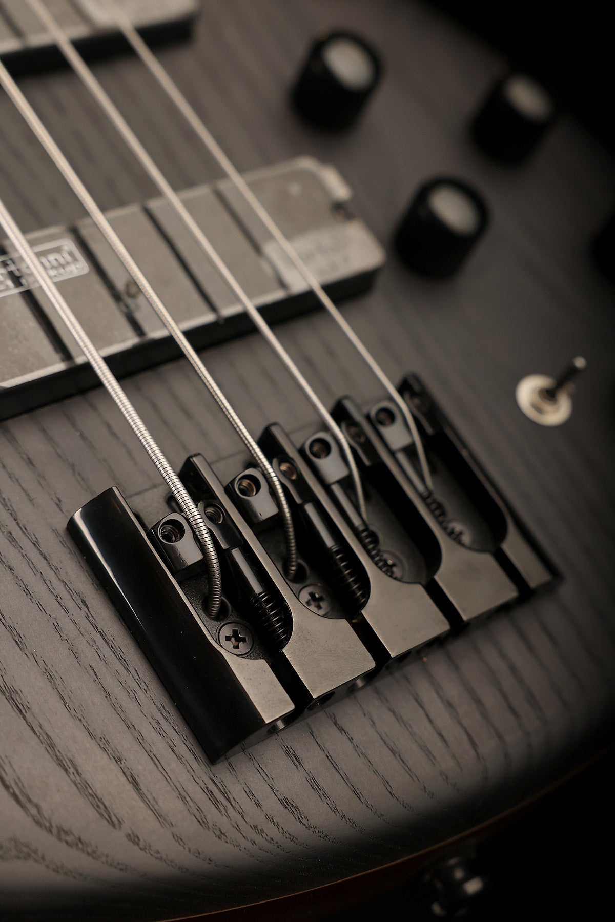 Cort Artisan B4 Element Fretless