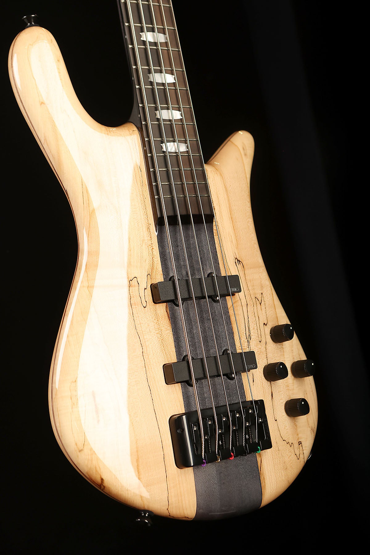 Spector Euro 5 Spalted Maple Limited Edition