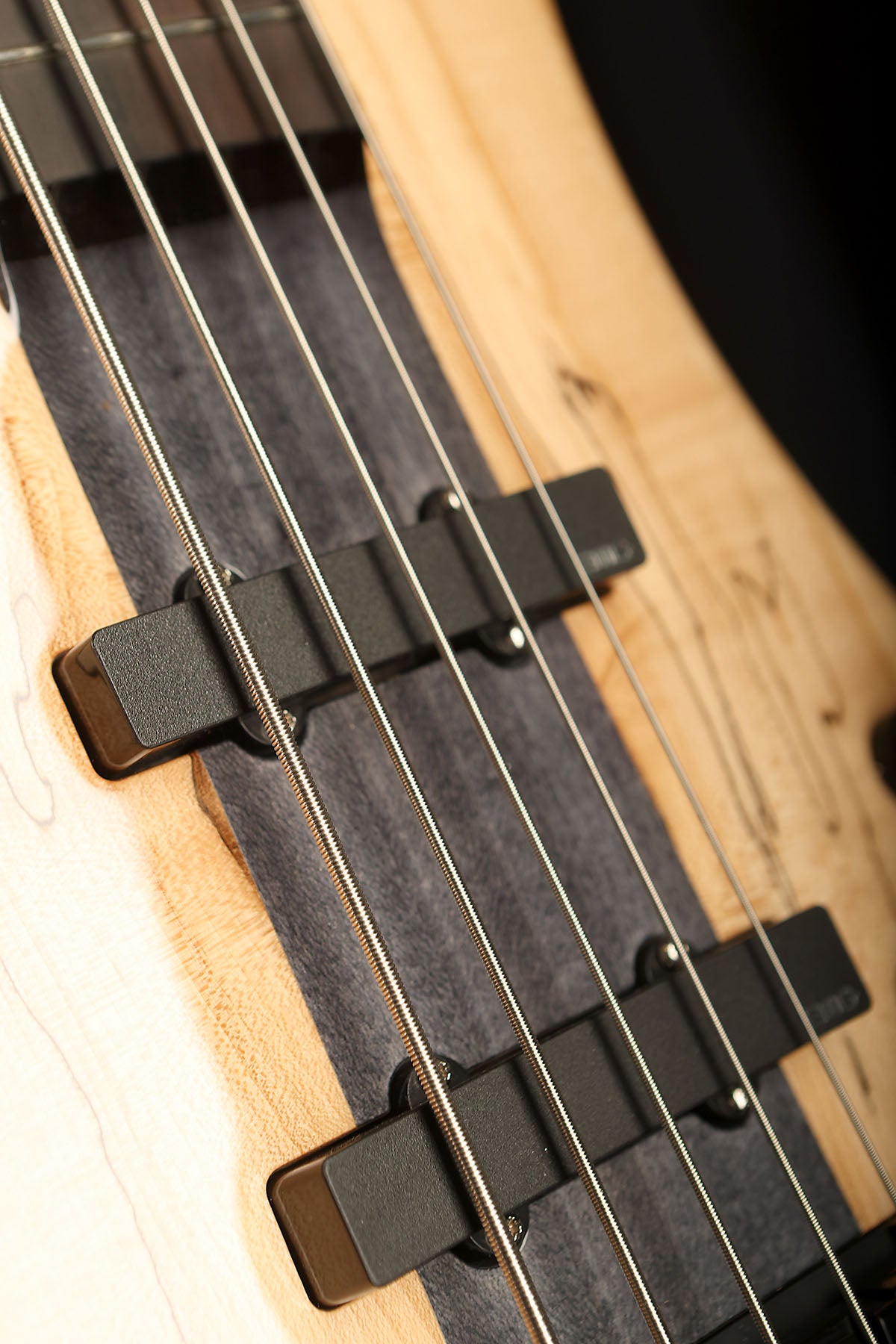 Spector Euro 5 Spalted Maple Limited Edition