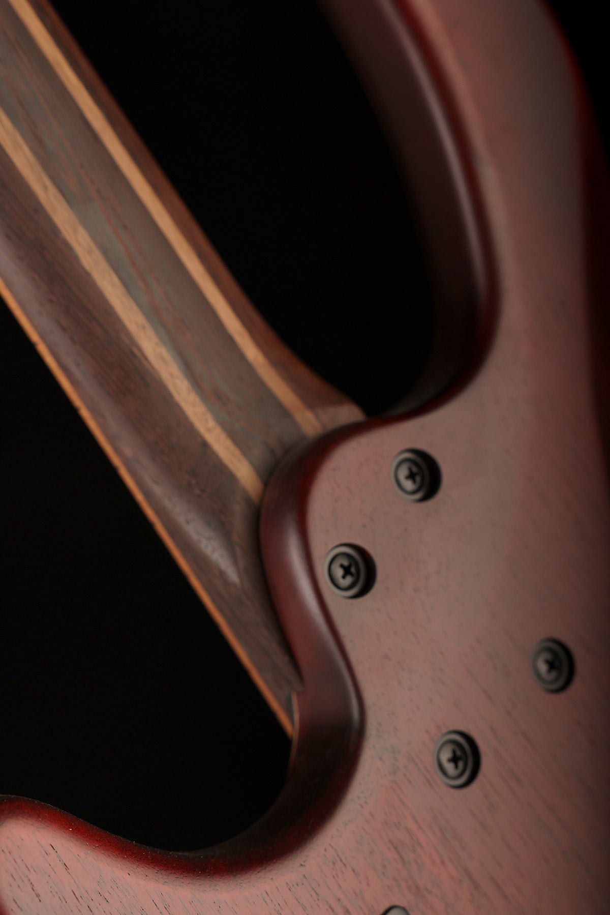Cort Artisan B4 Element Fretless