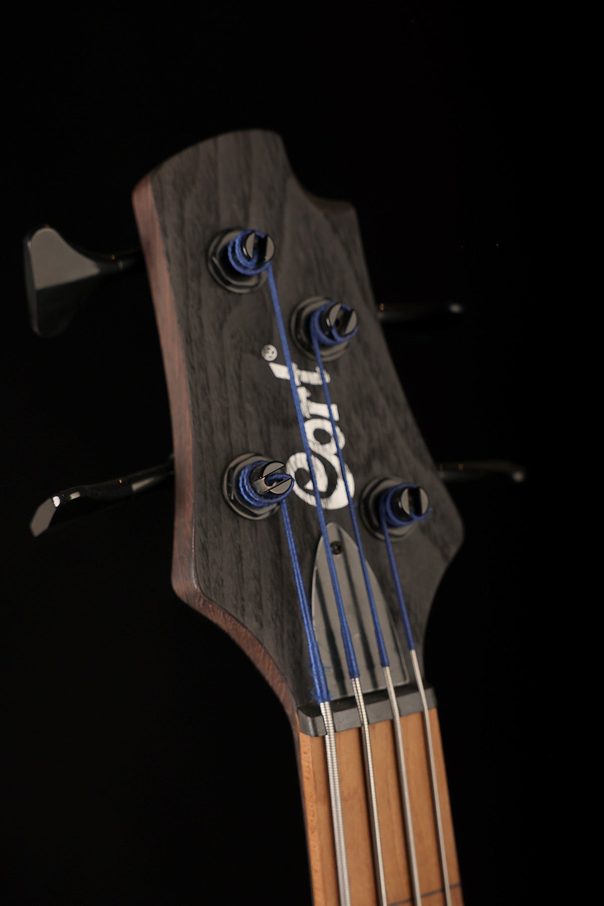 Cort Artisan B4 Element Fretless