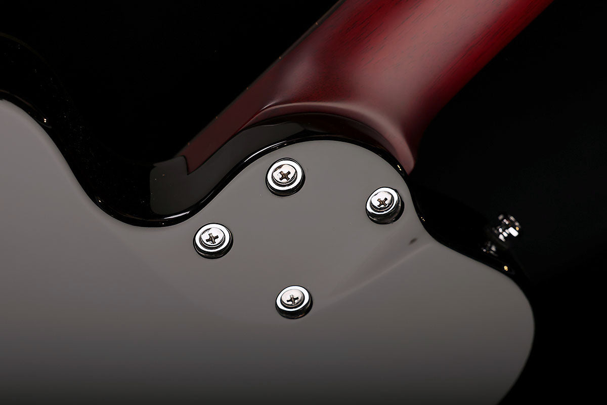 Sire MARCUS MILLER  GB5 Series 5 String FRETLESS