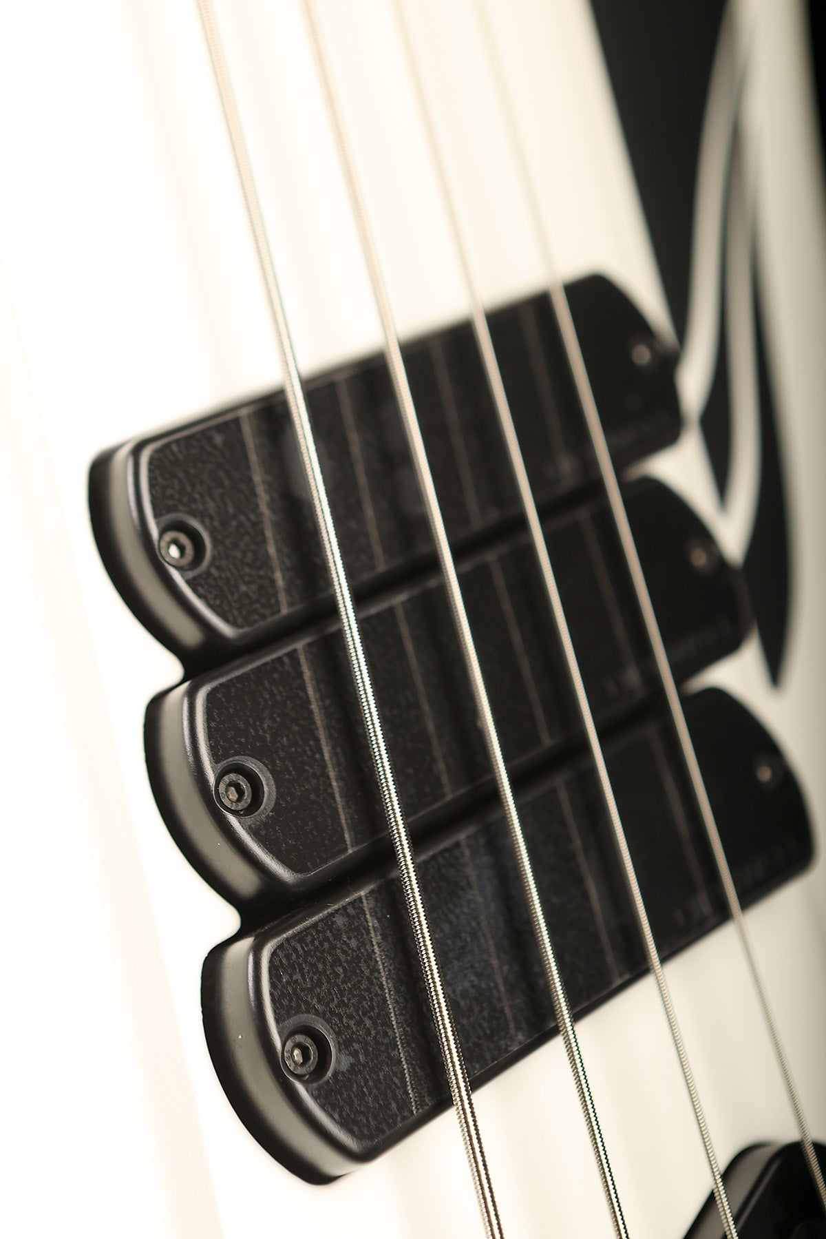 Dingwall D-Roc Standard 4 Ducati White Pearl - Bass Centre Music Store Melbourne