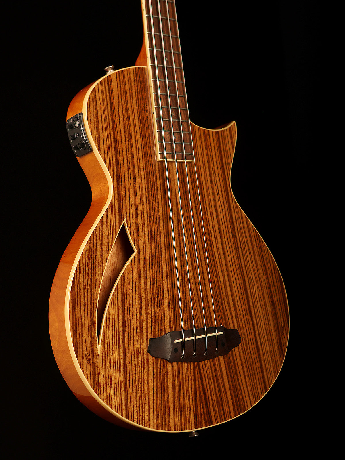 Preloved LTD TL-4 semi acoustic bass - Bass Centre Music Store Melbourne