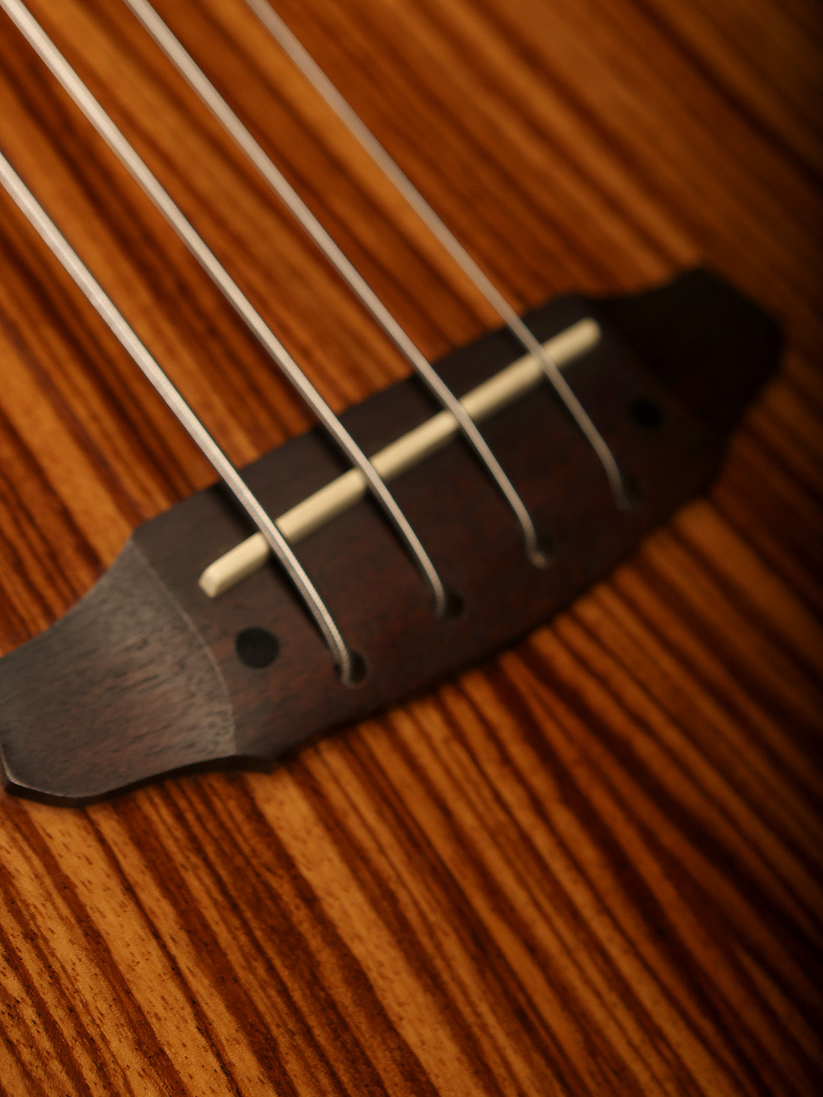 Preloved LTD TL-4 semi acoustic bass - Bass Centre Music Store Melbourne