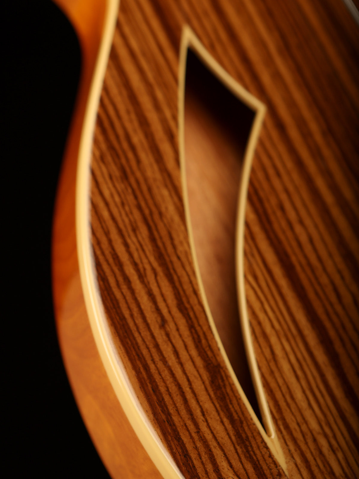 Preloved LTD TL-4 semi acoustic bass - Bass Centre Music Store Melbourne