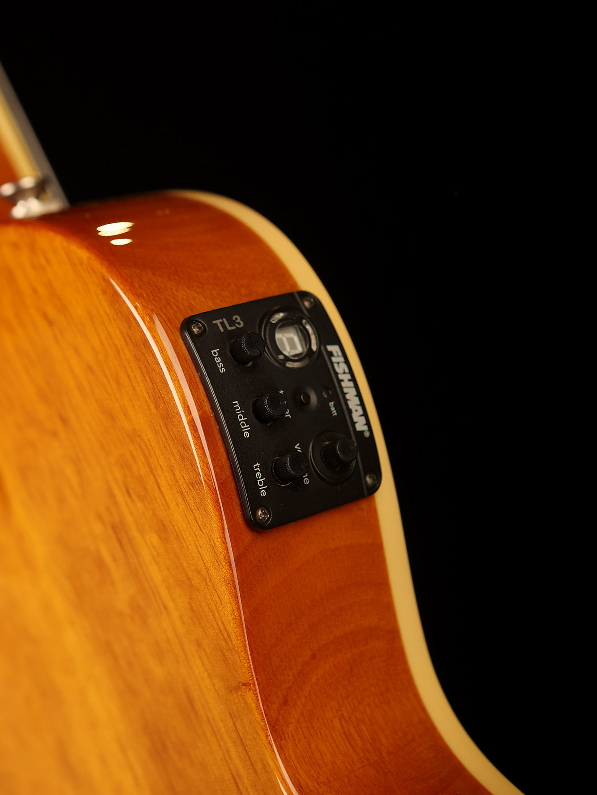 Preloved LTD TL-4 semi acoustic bass - Bass Centre Music Store Melbourne