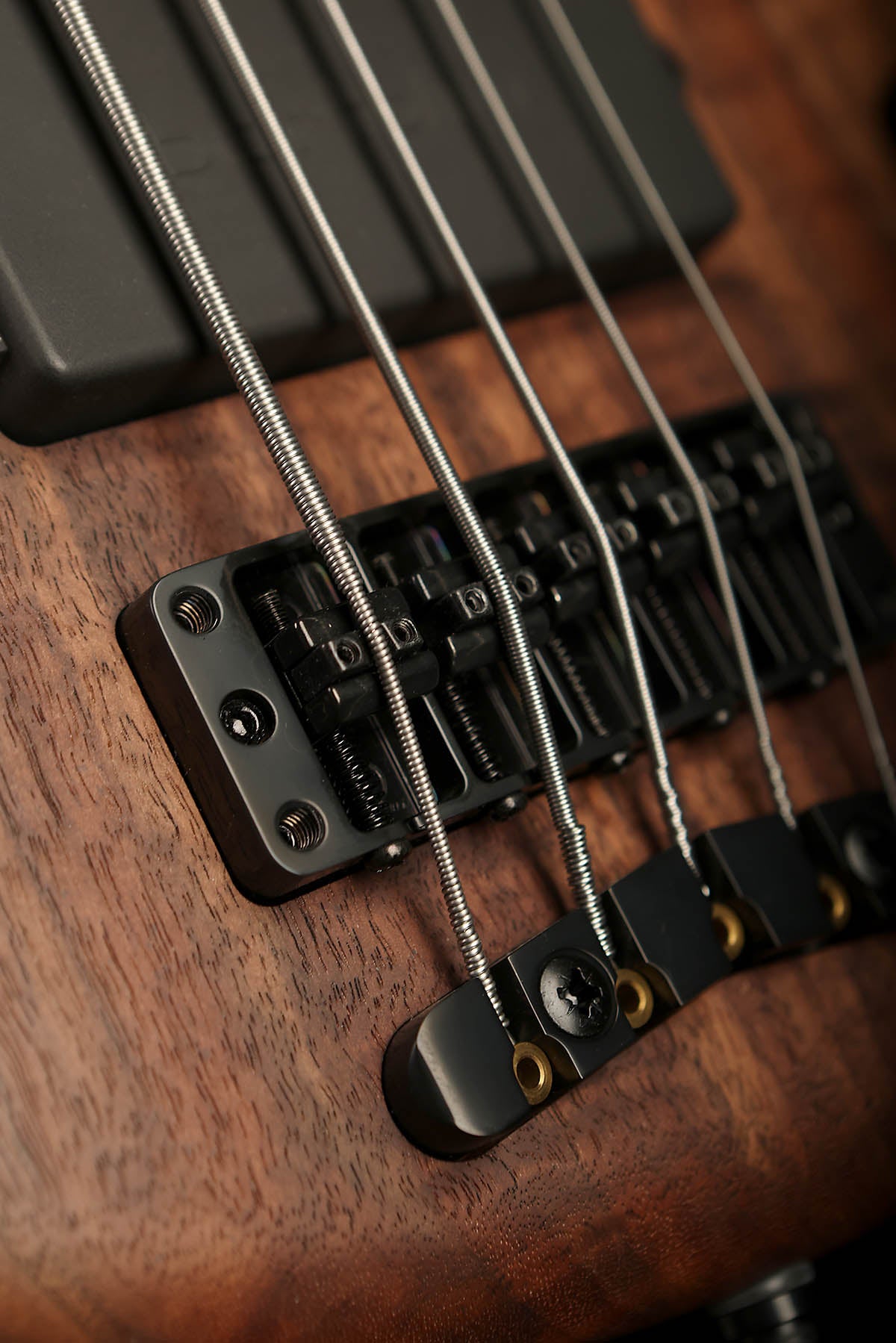 Warwick Teambuilt Thumb 5 BO Limited Edition Model