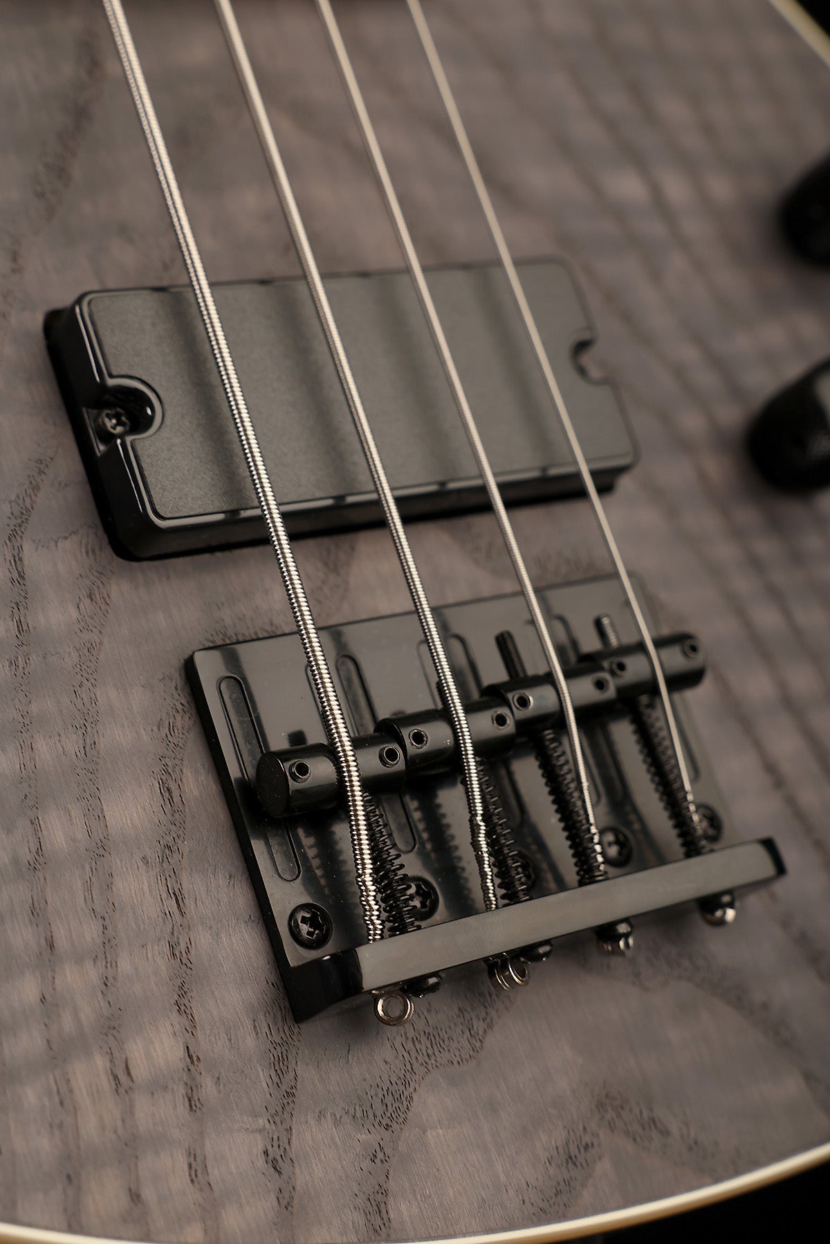 Schecter C-4 Standard - Bass Centre Music Store Melbourne