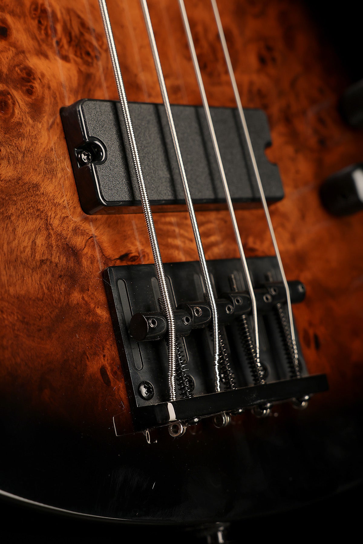 Schecter C-4 Standard - Bass Centre Music Store Melbourne