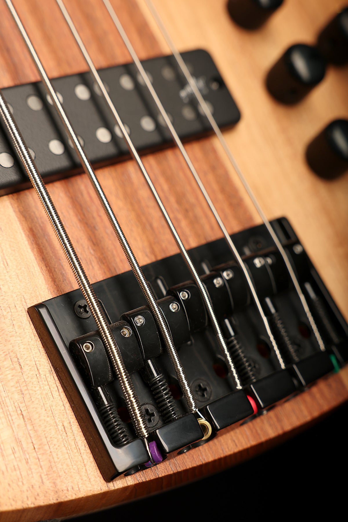 Cole Clark LL B5 Blackwood Top, Ebony - Bass Centre Music Store Melbourne