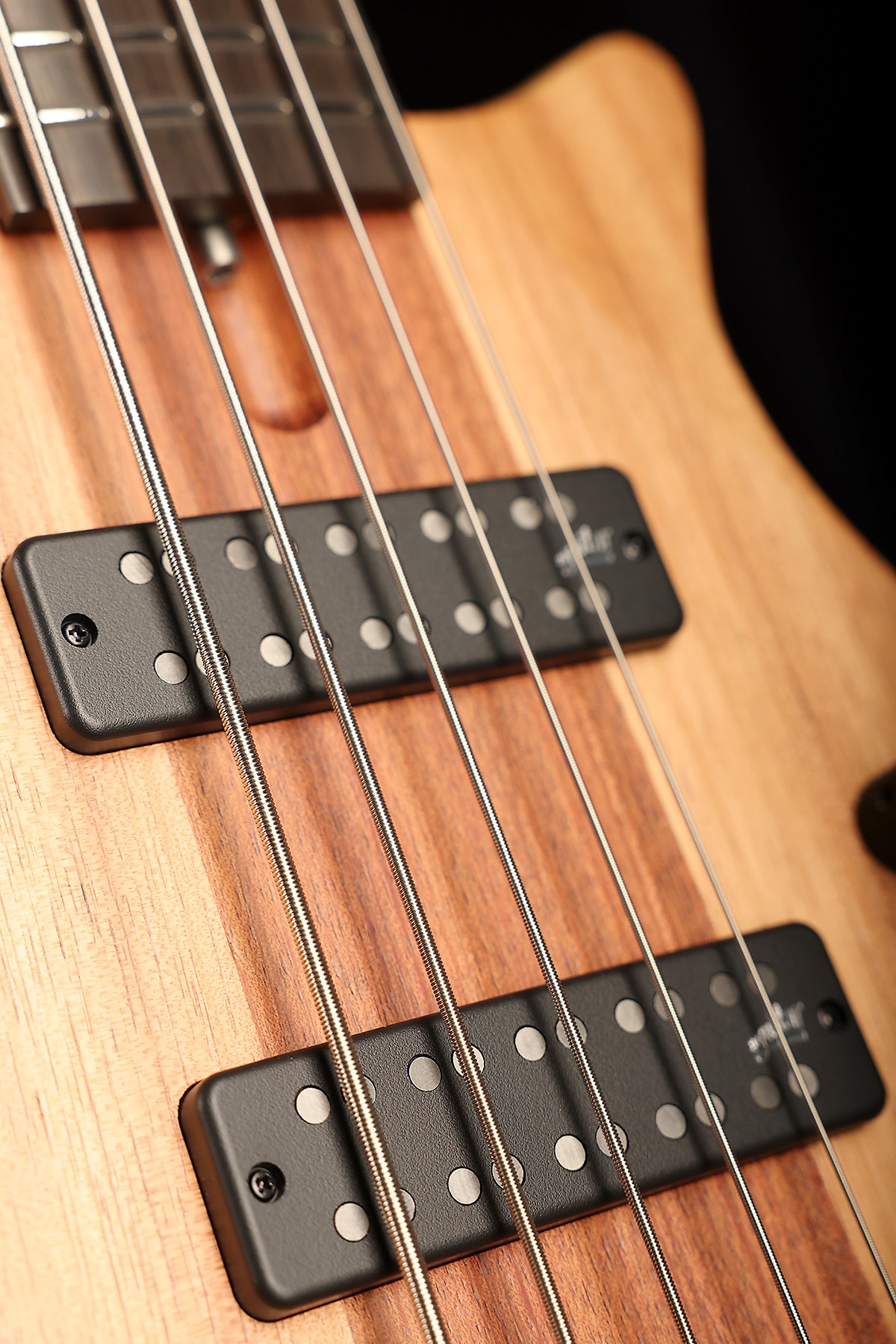 Cole Clark LL B5 Blackwood Top, Ebony - Bass Centre Music Store Melbourne