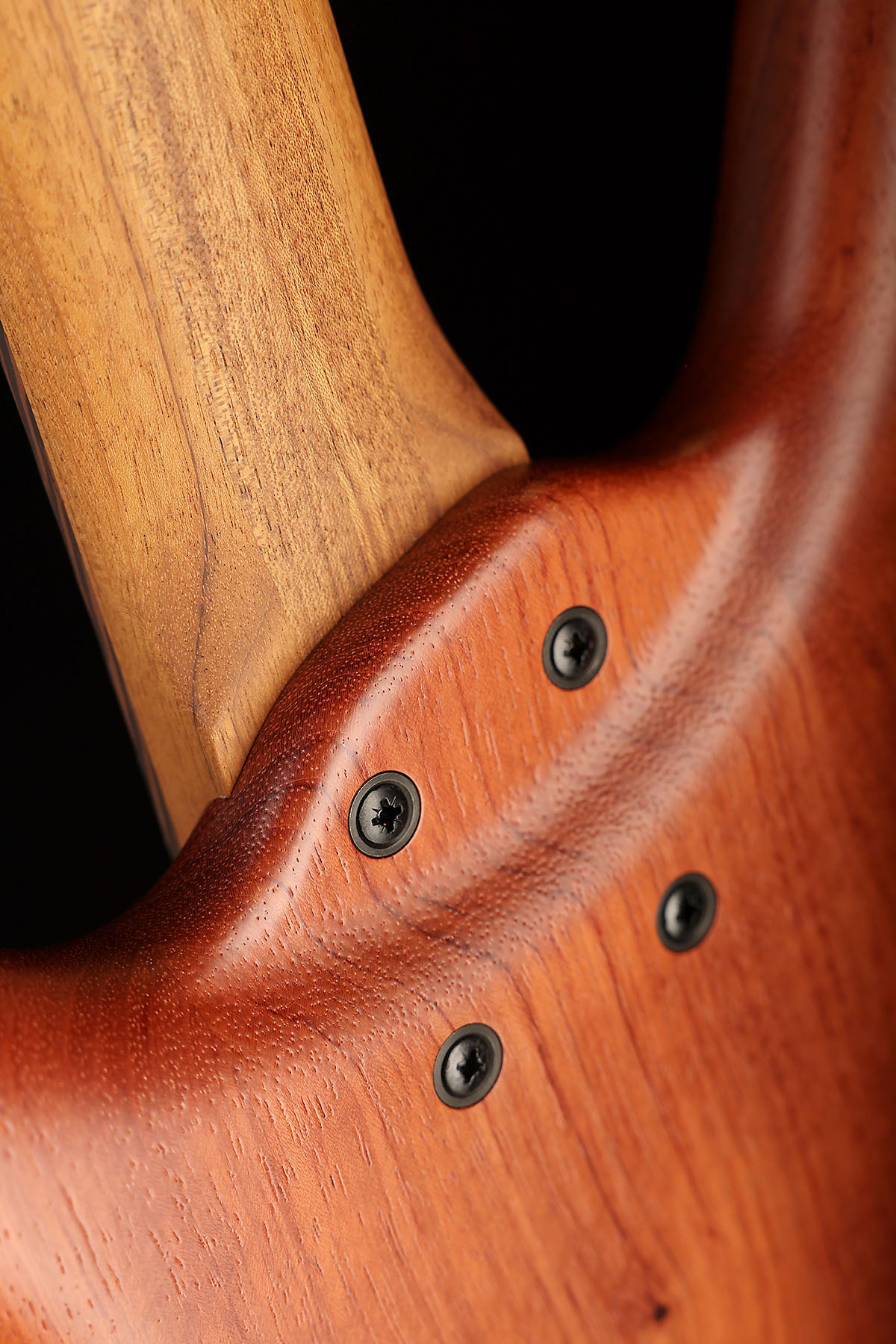 Warwick German Pro Series Teambuilt Corvette 5 String Bubinga Body - Bass Centre Music Store Melbourne