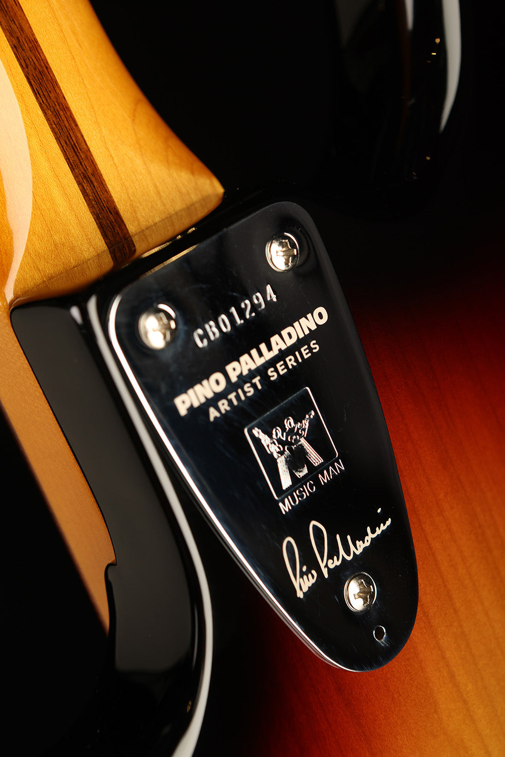 Ernie Ball Music Man Pino Palladino Stingray Fretless PREORDER DEPOSIT - Bass Centre Music Store Melbourne