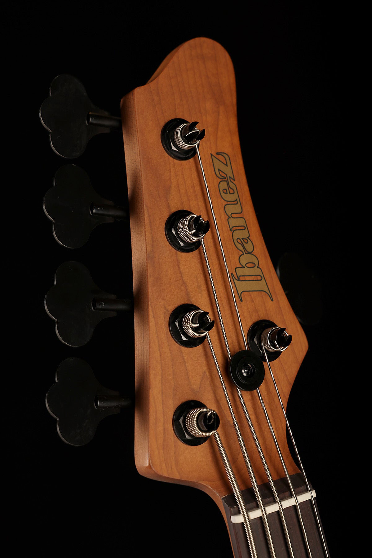 IBANEZ MDM1605DTW BASS - Bass Centre Music Store Melbourne