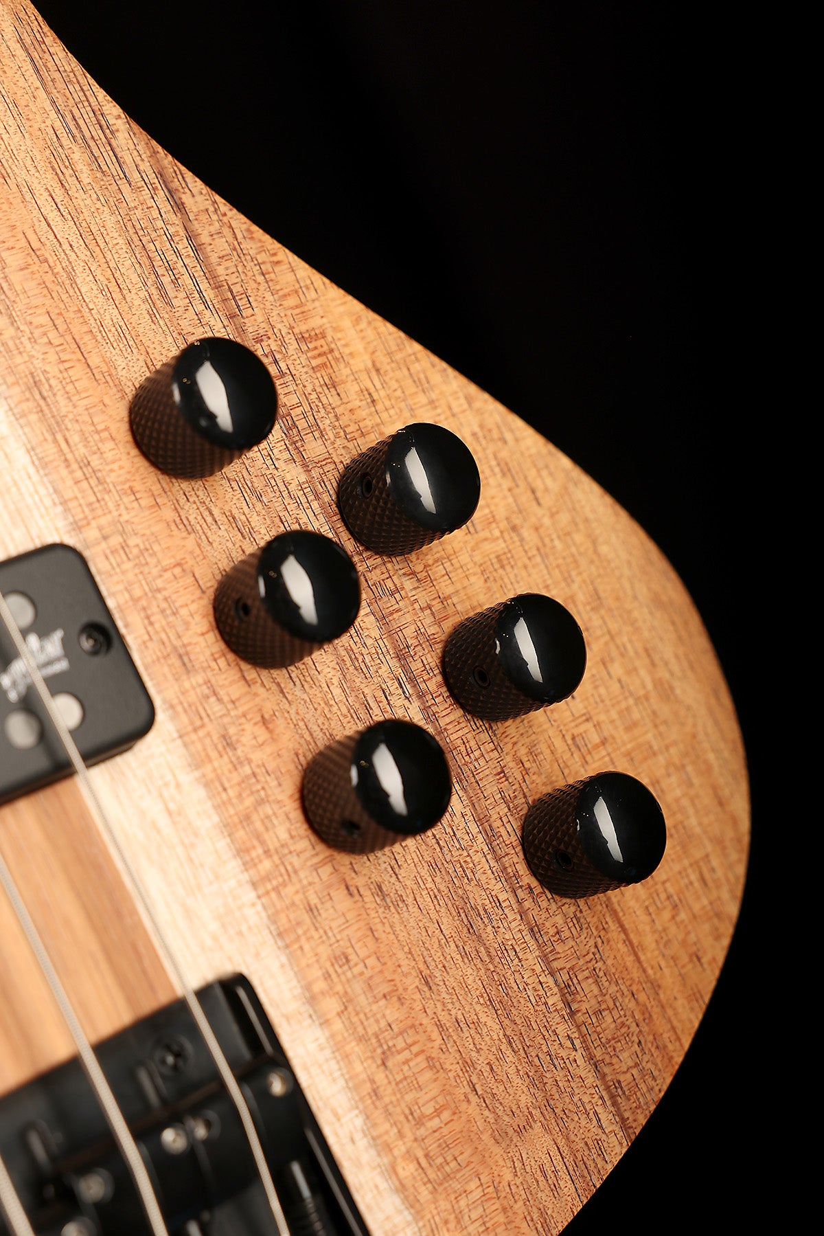 Cole Clark LL B5 Blackwood/Gidgee Fretless