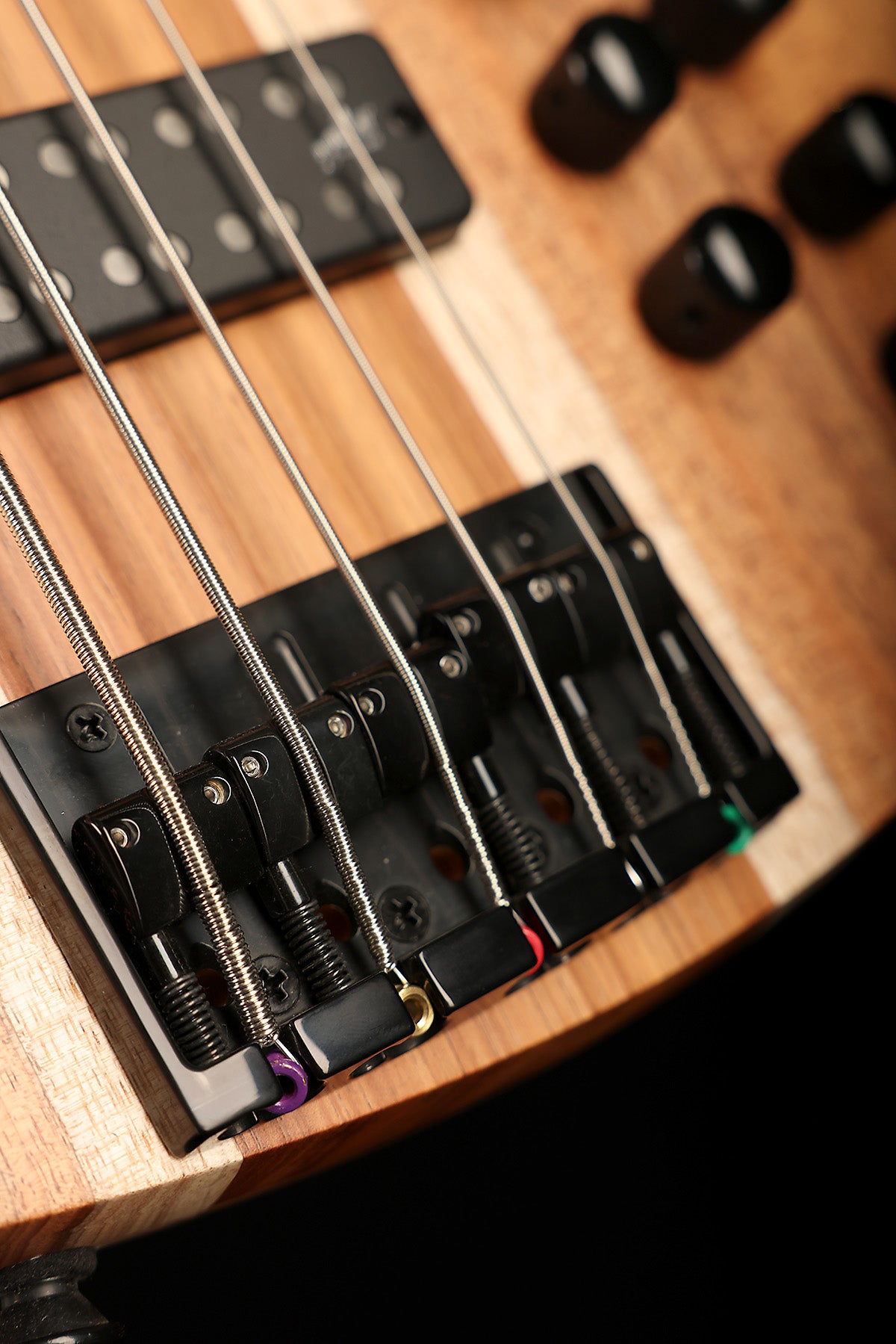 Cole Clark LL B5 Blackwood/Gidgee Fretless
