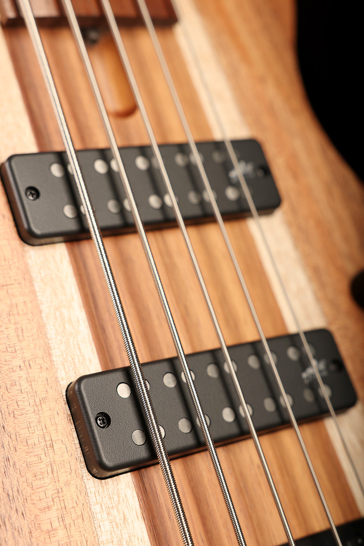 Cole Clark LL B5 Blackwood/Gidgee Fretless