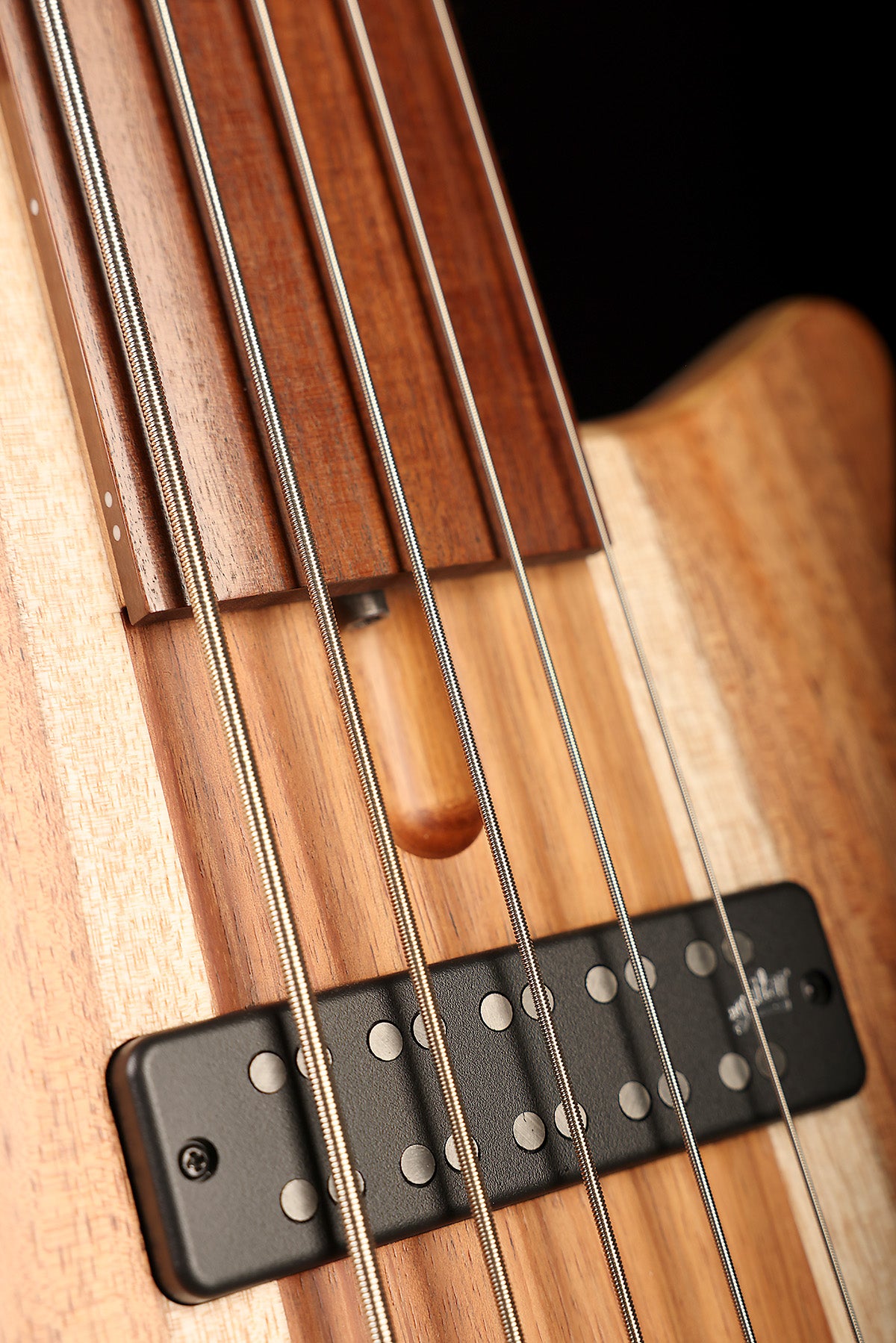 Cole Clark LL B5 Blackwood/Gidgee Fretless