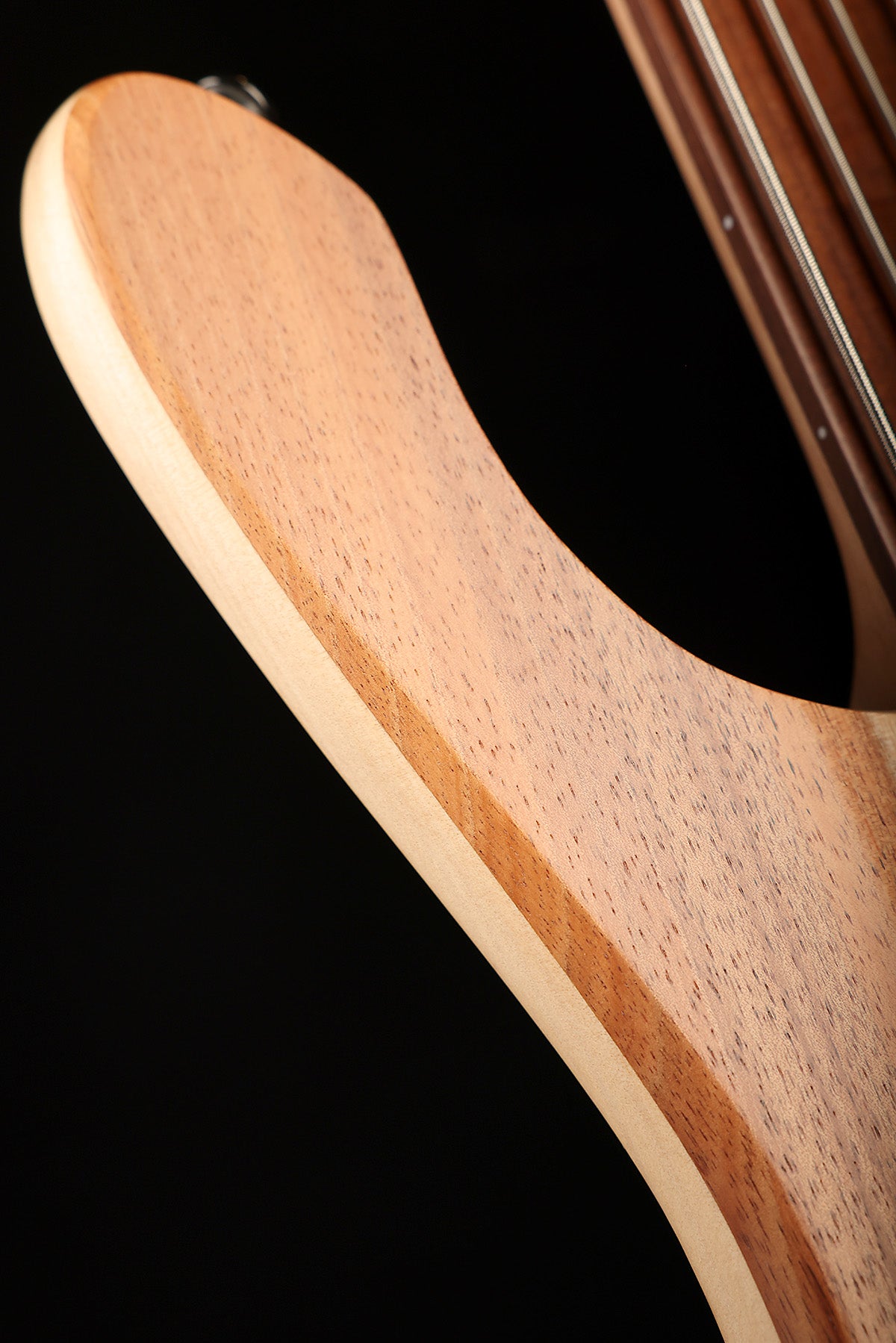 Cole Clark LL B5 Blackwood/Gidgee Fretless