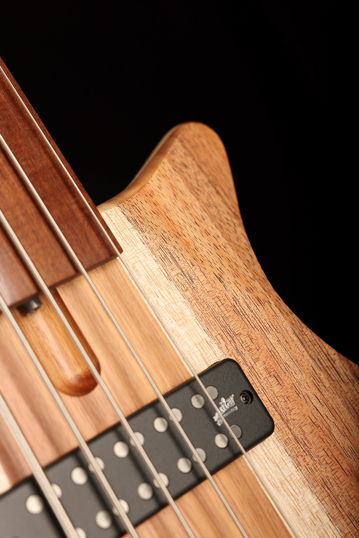 Cole Clark LL B5 Blackwood/Gidgee Fretless