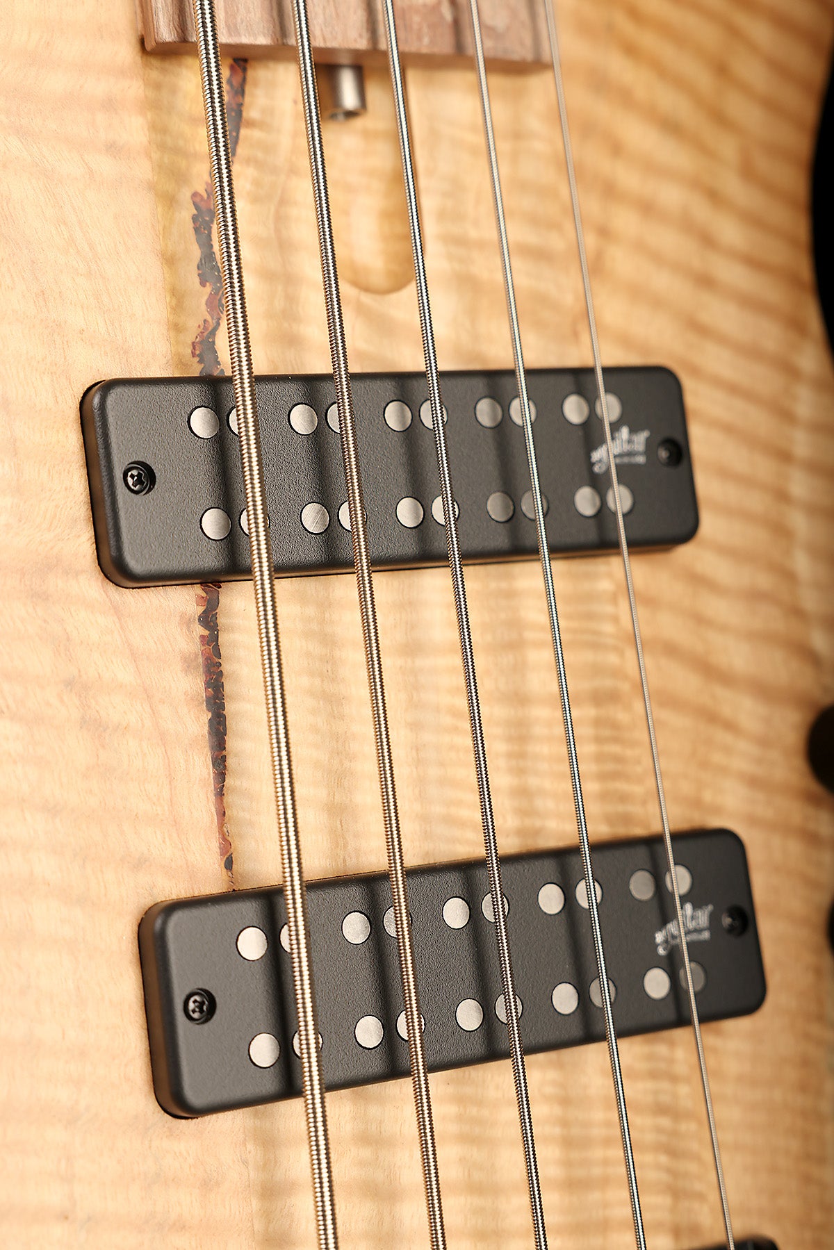 Cole Clark LLB5 Figured Mountain Ash 5 string - Bass Centre Music Store Melbourne
