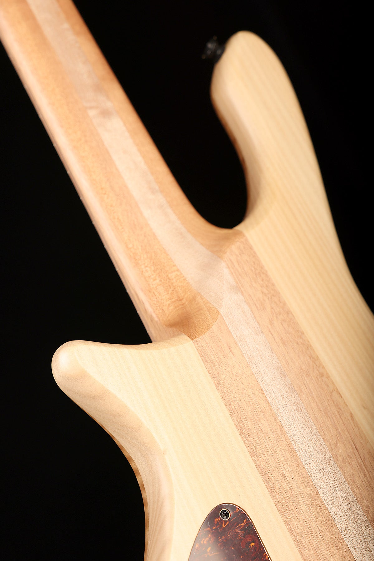 Cole Clark LLB5 Figured Mountain Ash 5 string - Bass Centre Music Store Melbourne