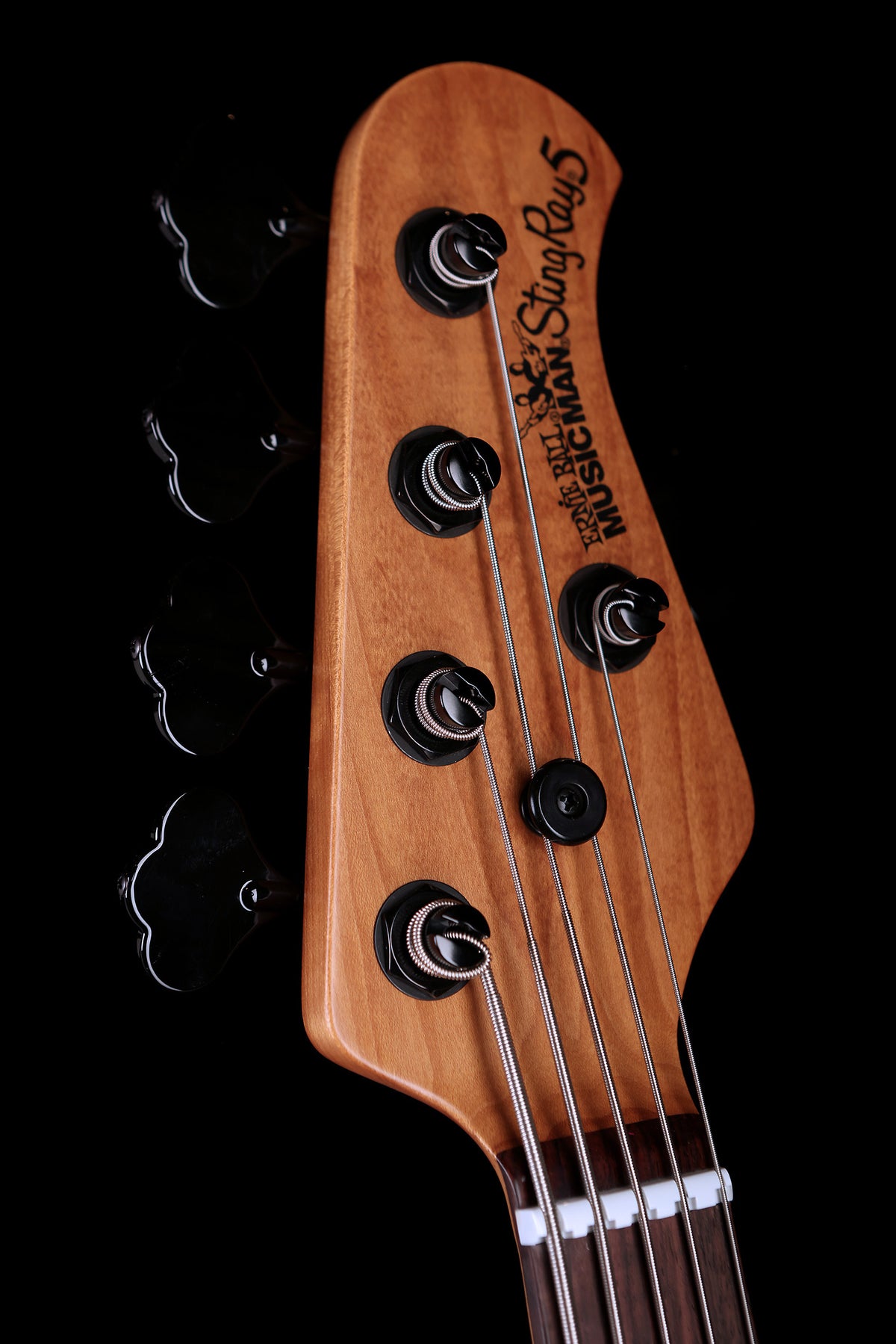 Ernie Ball Music Man Stingray Special 5 HH Grape Crush - Bass Centre Music Store Melbourne