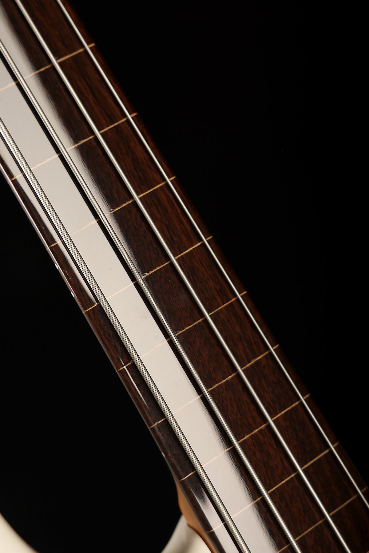 Sire Z7 Fretless