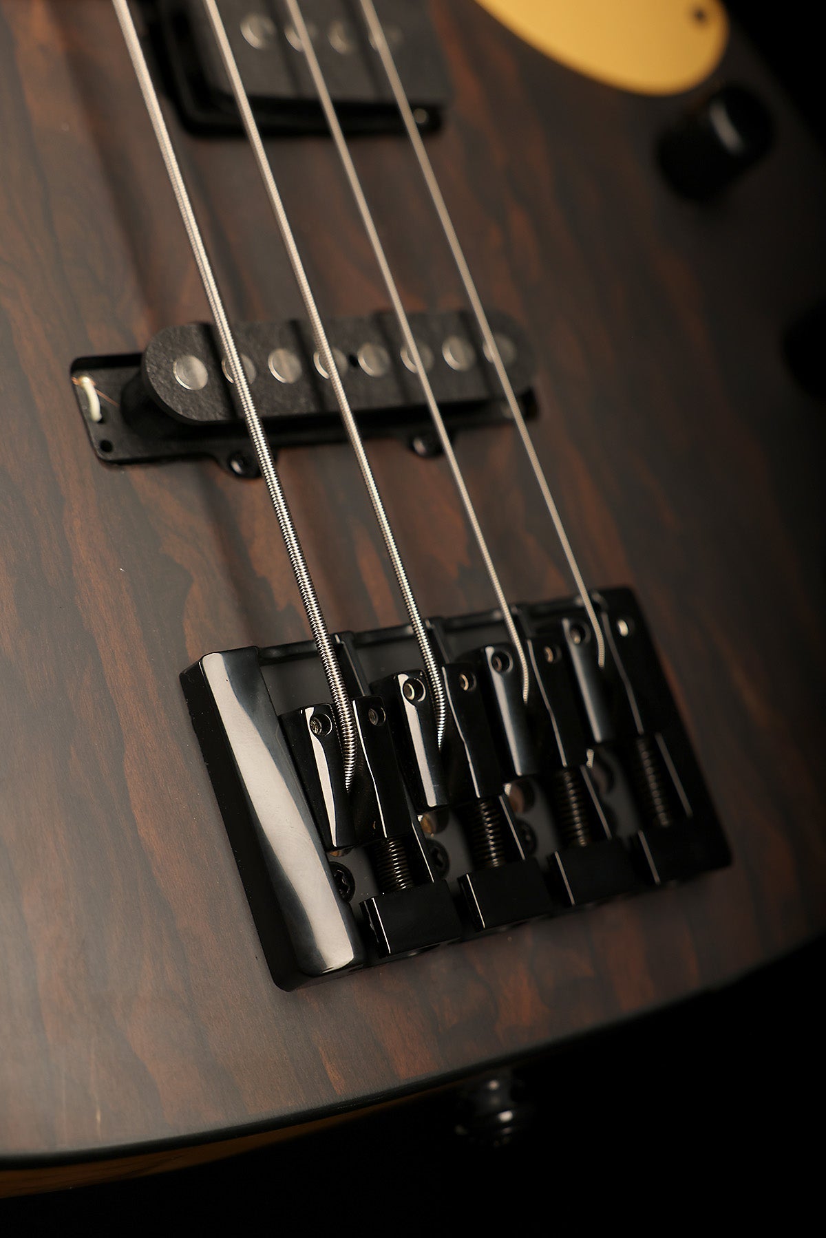 Schecter Model-T 4 Exotic Ziricote CLEARANCE
