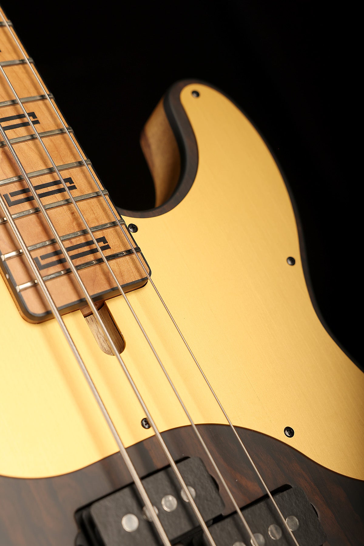 Schecter Model-T 4 Exotic Ziricote CLEARANCE