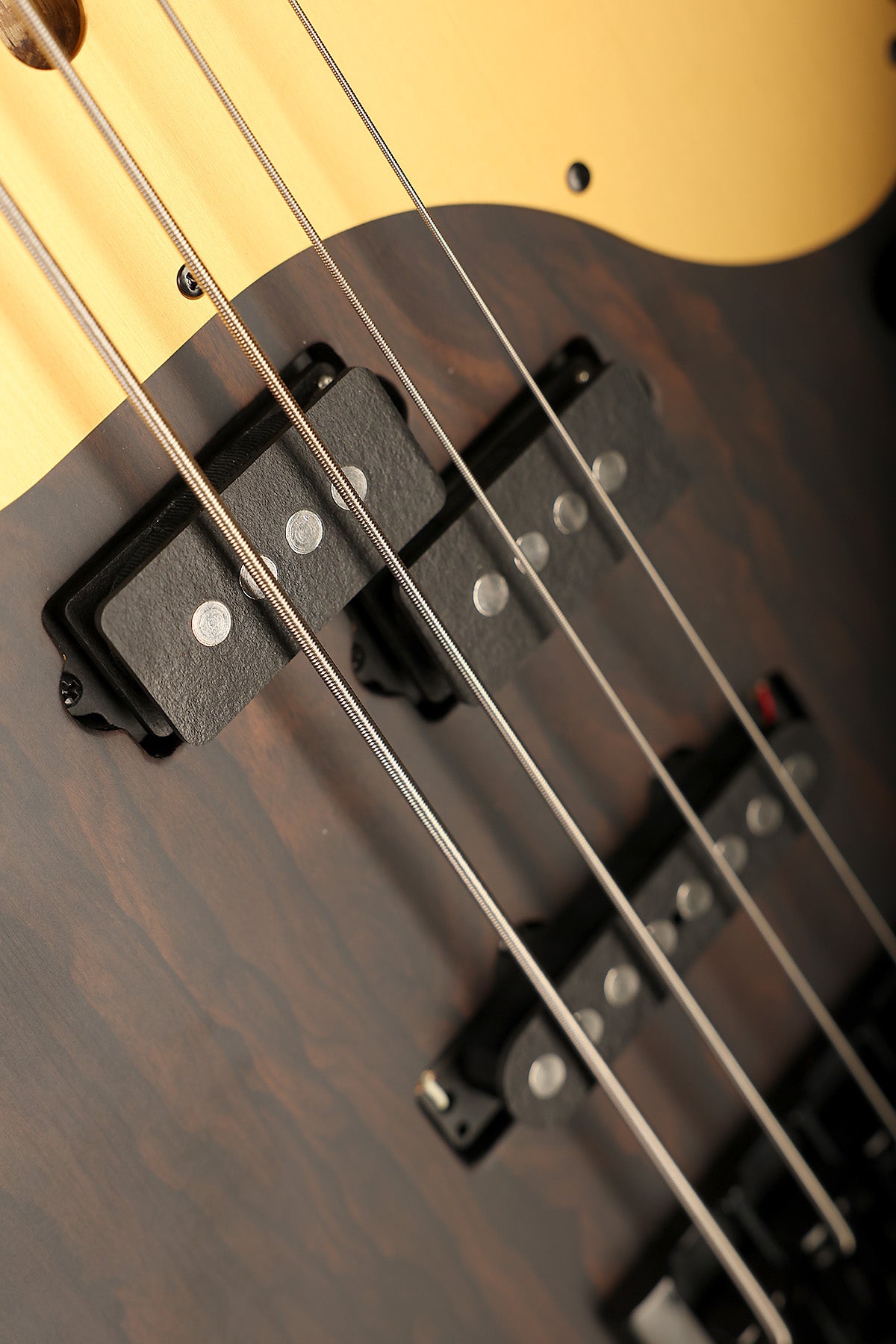 Schecter Model-T 4 Exotic Ziricote CLEARANCE