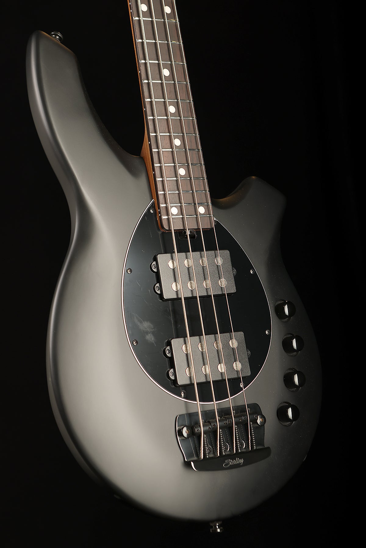 Sterling by Music Man Bongo 4