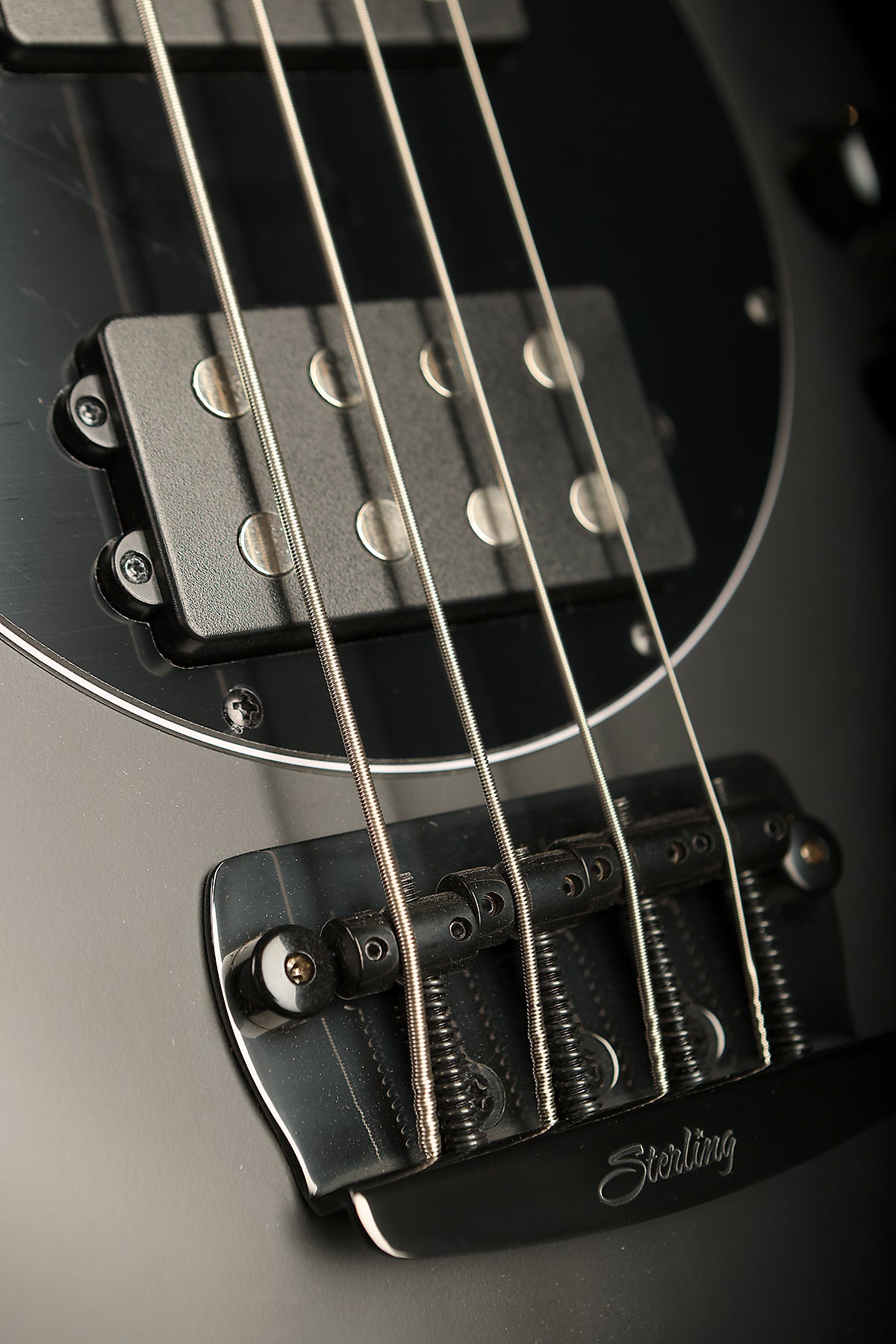 Sterling by Music Man Bongo 4