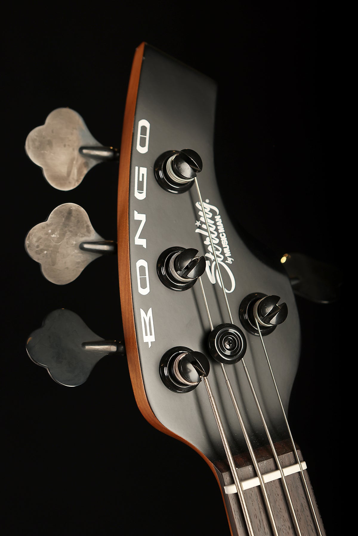 Sterling by Music Man Bongo 4