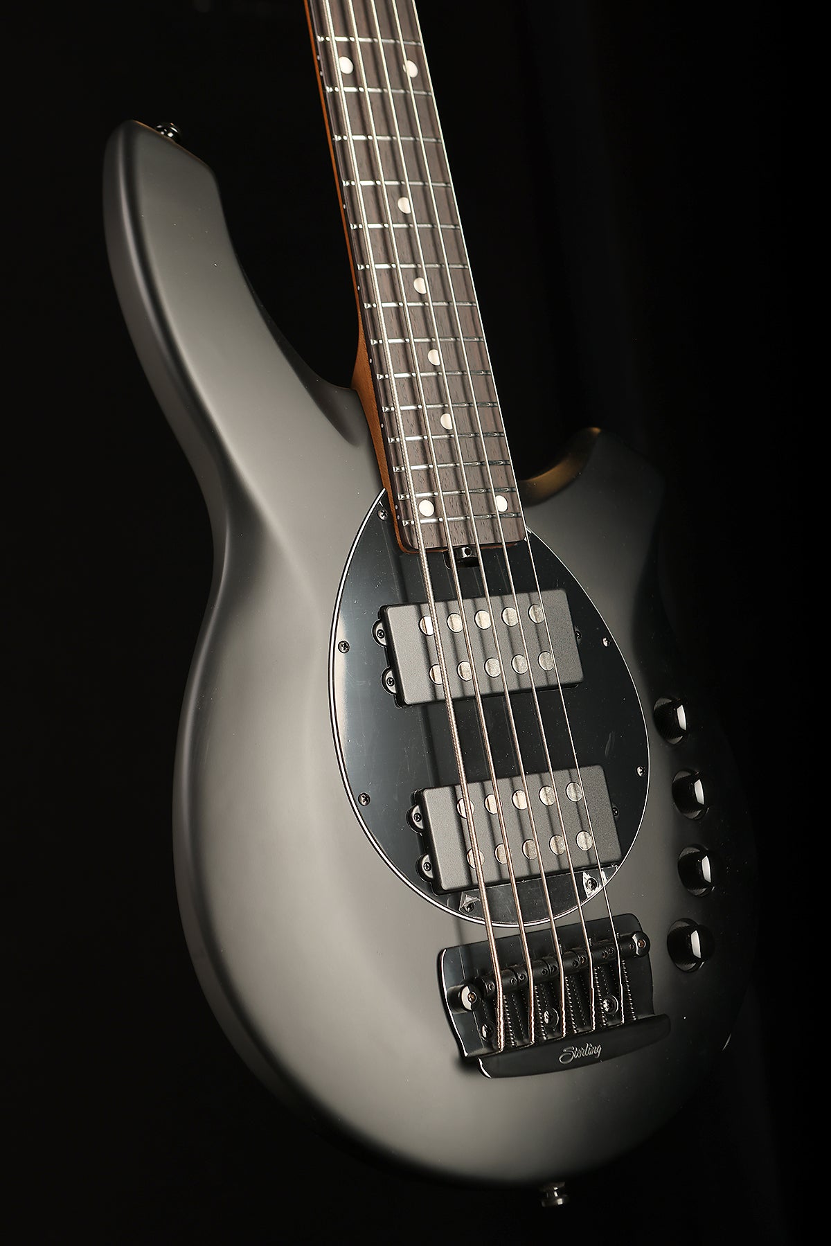 Sterling by Music Man Bongo 5 - Bass Centre Music Store Melbourne