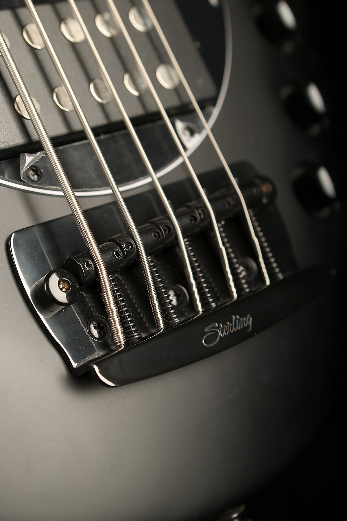 Sterling by Music Man Bongo 5 - Bass Centre Music Store Melbourne