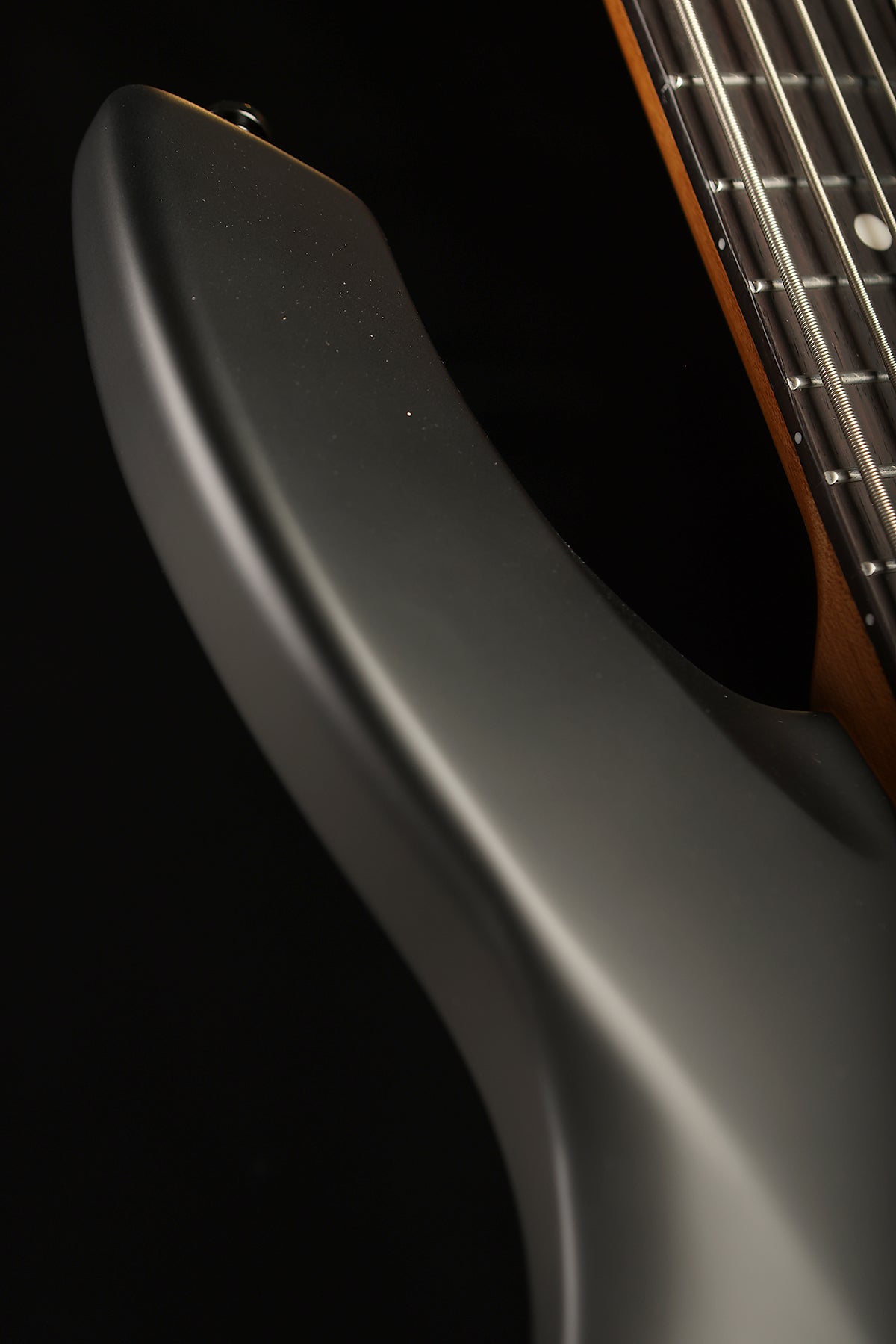 Sterling by Music Man Bongo 5 - Bass Centre Music Store Melbourne