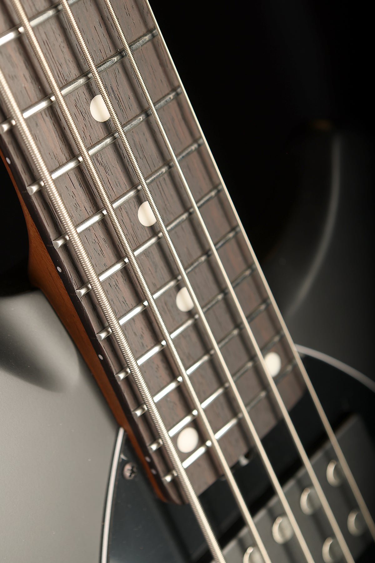 Sterling by Music Man Bongo 5 - Bass Centre Music Store Melbourne