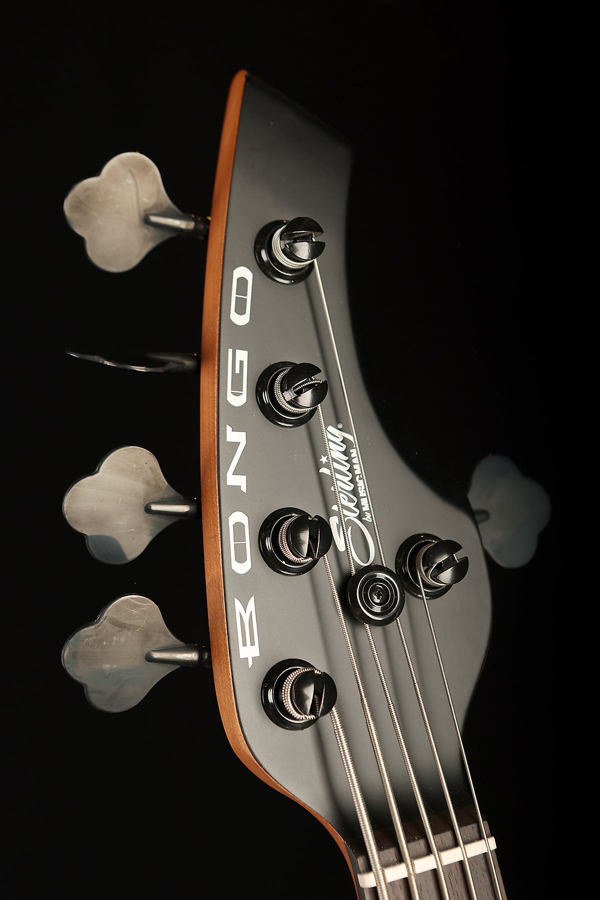 Sterling by Music Man Bongo 5 - Bass Centre Music Store Melbourne