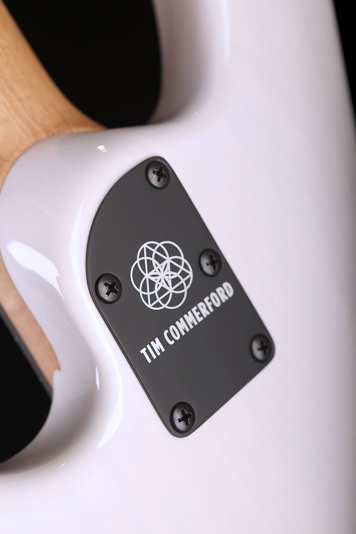 Ernie Ball Music Man Tim Commerford Stingray Passive - Bass Centre Music Store Melbourne