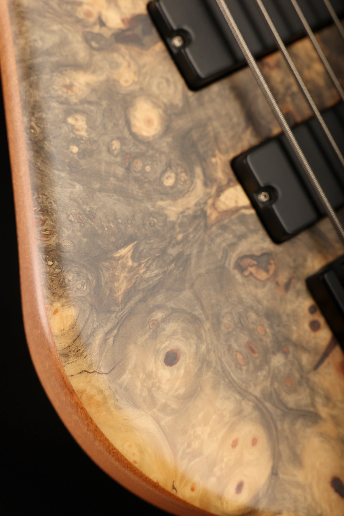 Preloved USA Spector NS5 Bolt On Buckeye Burl
