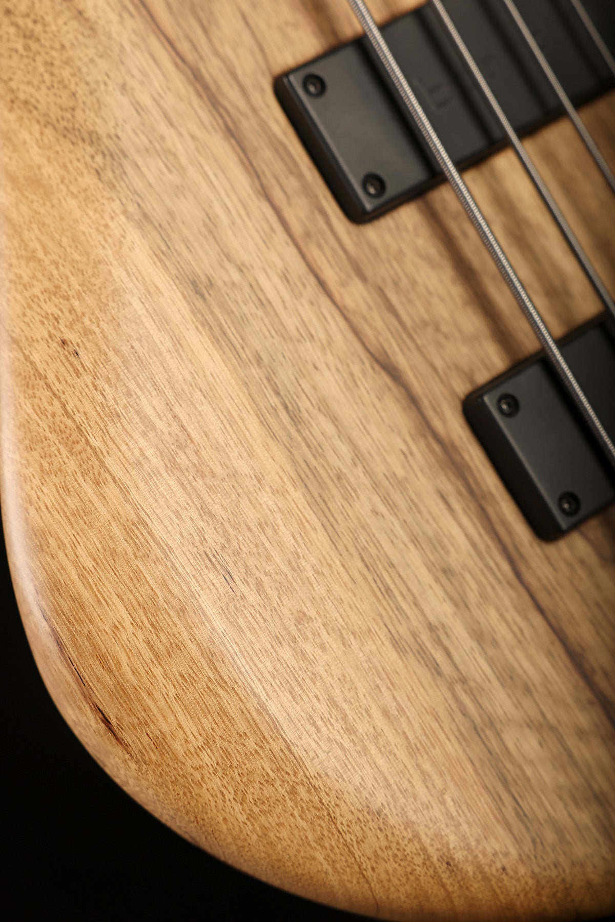 Preloved MTD 535 Black Limba - Bass Centre Music Store Melbourne