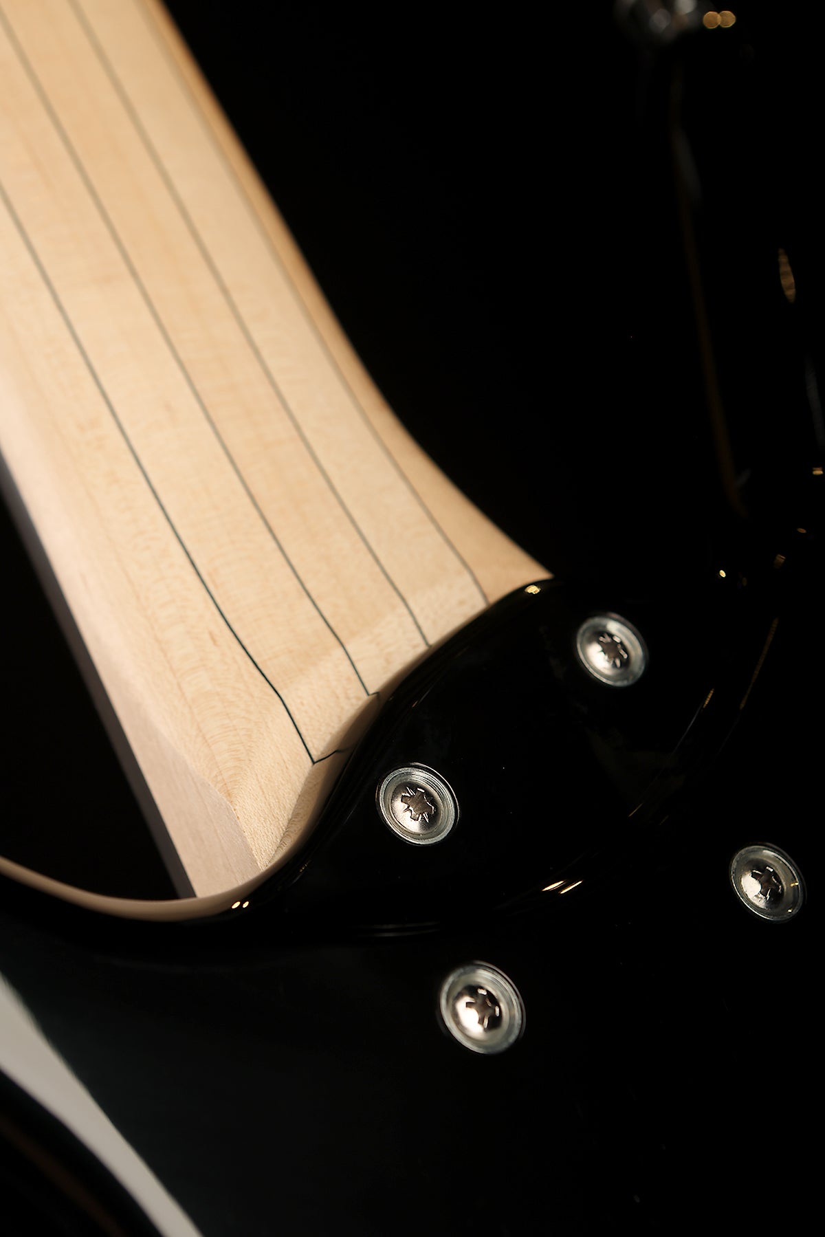 Warwick Rockbass Corvette 6 Fretless